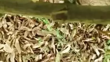 Big butt Desi Bhabhi outdoor sex with neighbor MMS