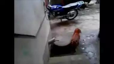 Woman washes her sex body wearing only XXX bra and panties on camera