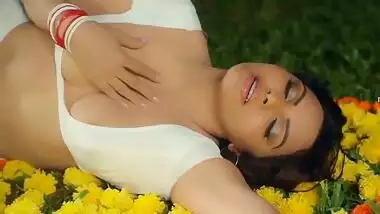 Sherlyn Chopra In In Hot Saree