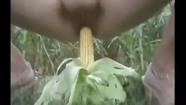 Desi bhabhi outdoor masturbation with long corn stick