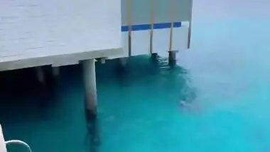 Indian sexy college babe new 8 videos part 8