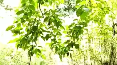 Jungle mein Mangal